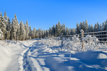 Winter landscape of Rusinowa polana, Tatra Mountains, Poland © pkazmierczak