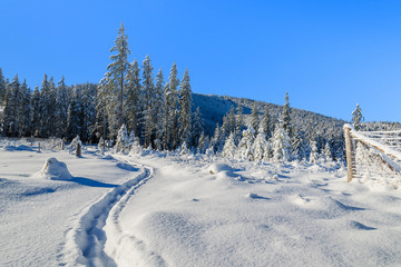 Winter landscape of Rusinowa polana, Tatra Mountains, Poland © pkazmierczak