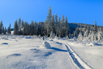 Winter landscape of Rusinowa polana, Tatra Mountains, Poland © pkazmierczak