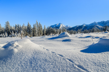 Winter landscape of Rusinowa polana, Tatra Mountains, Poland © pkazmierczak