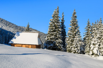 Hut on Rusinowa polana in winter time, Tatra Mountains, Poland © pkazmierczak