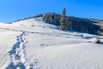 Winter landscape of Rusinowa polana, Tatra Mountains, Poland © pkazmierczak