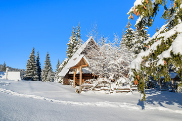Hut on Rusinowa polana in winter time, Tatra Mountains, Poland © pkazmierczak