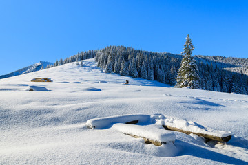 Winter landscape of Rusinowa polana, Tatra Mountains, Poland © pkazmierczak