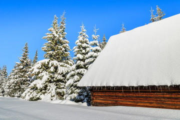 Hut on Rusinowa polana in winter time, Tatra Mountains, Poland © pkazmierczak
