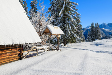 Hut on Rusinowa polana in winter time, Tatra Mountains, Poland © pkazmierczak