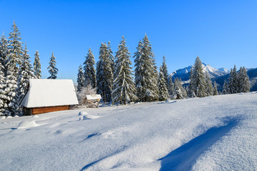 Hut on Rusinowa polana in winter time, Tatra Mountains, Poland © pkazmierczak