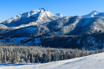 Winter landscape of Rusinowa polana, Tatra Mountains, Poland © pkazmierczak