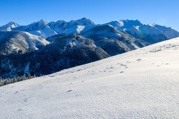 Winter landscape of Rusinowa polana, Tatra Mountains, Poland © pkazmierczak