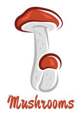 Colored cartoon forest mushrooms