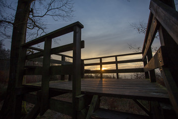 sundown autumn forest outlook