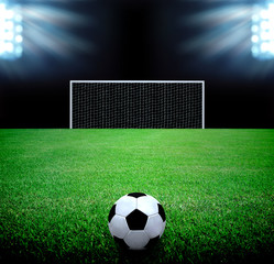 soccer field and the bright lights