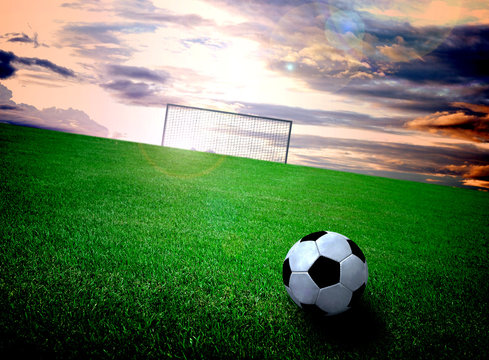 Soccer Field And Sky