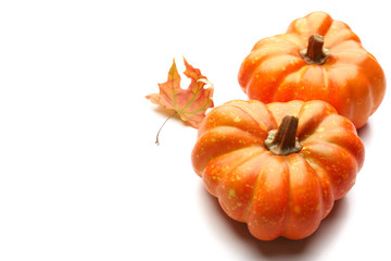 Ripe pumpkin isolated on white