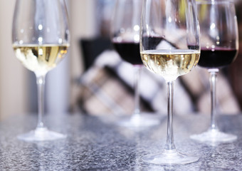 Wine tasting in bar