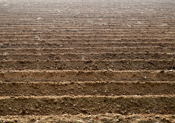 Soil grooves farm lands.