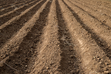 Soil grooves farm lands.