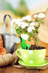 Rustic table with flowers, pots, potting soil, watering can and