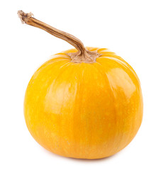 Ripe pumpkin isolated on white