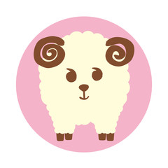 sheep_5