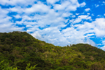 沖縄 本部町 円錐カルストの山々