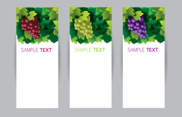 Grape, Vine, Banner