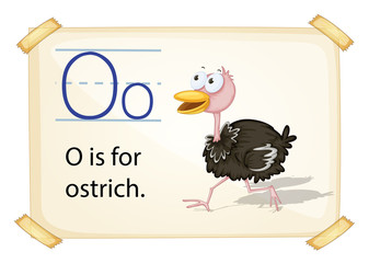 A letter O for ostrich