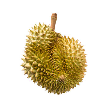 Durian isolated on white background with clipping path