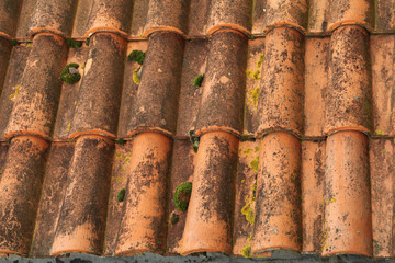 mousse sur toiture en tuile