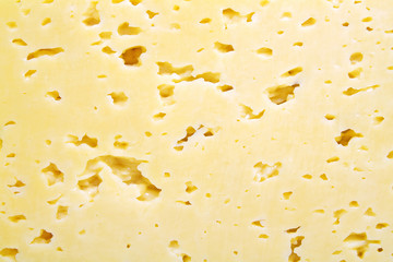 Background of fresh yellow Swiss cheese with holes