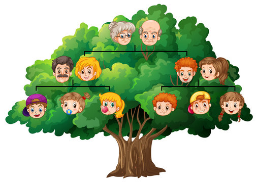 Family tree