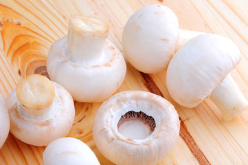 Fresh champignons