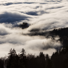 Fototapeta na wymiar inversion fog in black forest, Germany