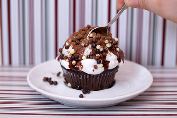Cute delicious chocolate cupcake