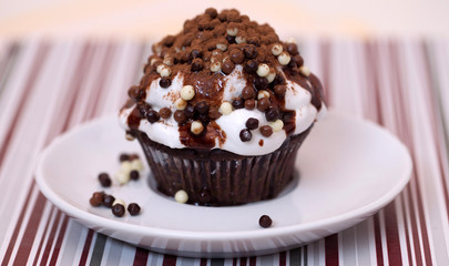 Cute delicious chocolate cupcake