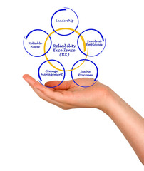 Reliability Excellence (RX)