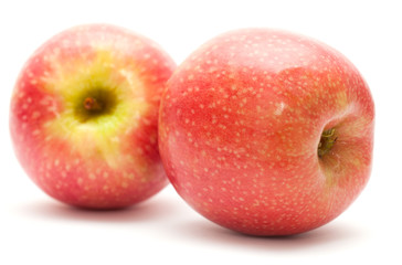 pink apples isolated
