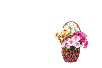 Obraz premium Flower in wooden handmade basket isolated on white background