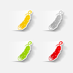 realistic design element: cucumber