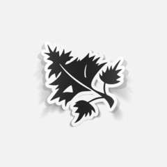 realistic design element: parsley, dill