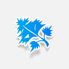 realistic design element: parsley, dill