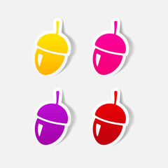 realistic design element: acorns