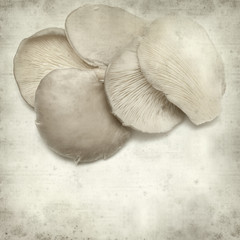 textured old paper background