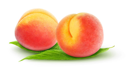 Isolated peaches. Two fresh peach fruits on leaves over white background, with clipping path
