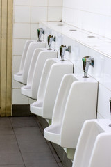 Dirty chamber pot in toilet