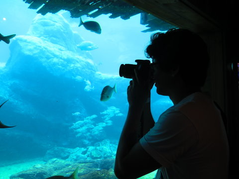 Besucher Aquarium UShaka Marine World Durban Südafrika
