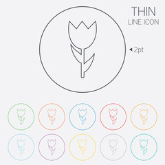 Flower sign icon. Rose symbol.