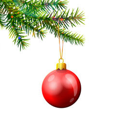 Christmas tree branch with red bauble isolated on white