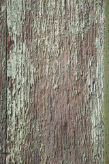 Obraz premium old peeling paint over wooden panel