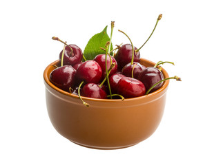 Gean - cherry